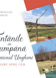 Fantani_coperta